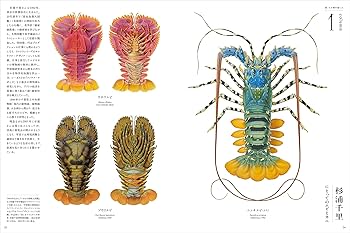 イラストレーションコンテスト2024 未開封　4パック 20250927065514-0.jpeg